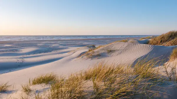 Yumuşak kum tepeciklerinin dingin okyanus dalgalarıyla canlı bir günbatımı gökyüzü altında buluştuğu Danimarka, Vejers Strand 'in dingin güzelliğini deneyimleyin.. 