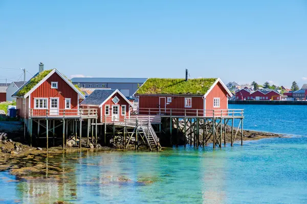 Ayaklıklara tünemiş renkli kırmızı kulübeler Norveç 'in berrak sularında parlak mavi gökyüzünün altında Reine Lofoten kıyılarında yankılanır..