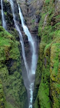 Su, yemyeşil yosunlar ve engebeli kaya oluşumlarıyla çevrili yüksek uçurumlardan çarpıcı bir şekilde düşer. Doğanın huzur dolu sesi, İzlanda 'daki Glymur şelalesi kanyonunu dolduruyor.