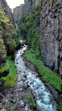 İzlanda 'daki Glymur şelale kanyonunu keşfedin, kristal berraklığında bir nehir kayalıkların arasından akar ve canlı yosunlarla süslenir. Büyüleyici bir şelale bu vahşi doğanın doğal güzelliğini artırır..