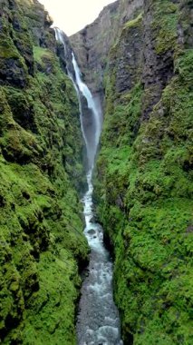 İzlanda 'daki Glymur şelalesi kanyonunun göz kamaştırıcı manzarasını keşfedin. Doğal güzellik, İzlanda 'nın vahşi doğasının huzurunu yansıtıyor..