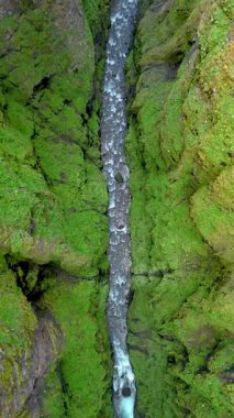 İzlanda 'da nefes kesici bir manzara keşfedin. Orada yeşil kanyon duvarları arasında dar bir dere akar. Bu büyüleyici manzara doğanın, sanatın, İzlanda 'daki Glymur şelale kanyonunun altını çiziyor.