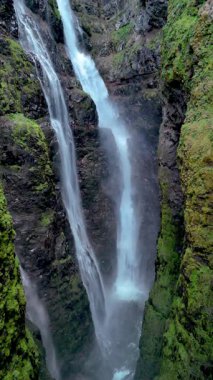 İzlanda 'daki Glymur şelalesi kanyonundaki yüksek uçurumlar arasında akan görkemli şelalenin büyüleyici güzelliğini keşfedin, el değmemiş sular yemyeşil suların ortasında büyüleyici bir manzara yaratır.