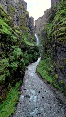 İzlanda 'da nefes kesen Glymur şelalesini keşfedin, orada yükselen sarp kayalıklar canlı yeşilliklerle kaplıdır, aşağıda parıldayan bir nehir akar, doğal bir mucize yaratır..