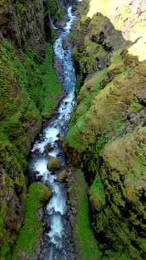 İzlanda 'nın göz kamaştırıcı manzarasına tanık olun. Kristal berraklığında bir nehir, yemyeşil bir kanyon boyunca esiyor. İzlanda' daki Glymur şelalesi kanyonunun engebeli kayalıklarıyla çelişiyor.