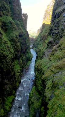 Yeşil yosun kürklerinin kayalık oluşumların olduğu İzlanda 'daki çarpıcı uçurumların dramatik uçurumlarına tanık olun. İzlanda 'daki Glymur şelalesi kanyonu