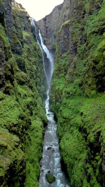 Yeşillik ve şelaleyle bezenmiş dramatik bir kanyonun nefes kesici manzarası. İzlanda 'daki Glymur şelale kanyonu doğa meraklıları ve macera arayanlar için mükemmeldir..
