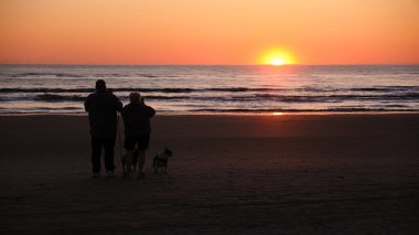 Bir çift, Danimarka 'da resim gibi bir plaj boyunca sakin bir akşam yürüyüşü yapar ve nefes kesici günbatımının tadını çıkarır. Köpekleri de onlara eşlik ediyor. Huzurlu atmosfere cazibe katıyor..