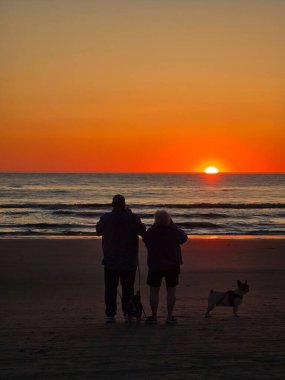Huzurlu bir günbatımı, köpekleriyle el ele gezen bir çift olarak kumsalın üzerinde ılık renkler bırakır. Dalgalar yavaşça kıyıya çarpıyor ve Danimarka 'da barışçıl bir atmosfer yaratıyor..