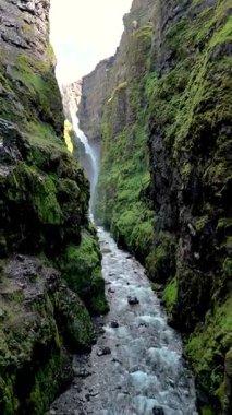 İzlanda 'da canlı yeşil yosun kaplı uçurumların bulunduğu dar bir kanyonun nefes kesici manzarası. Glymur şelale kanyonu, İzlanda