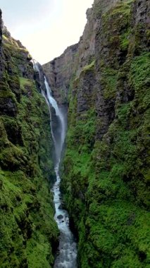 Sersemletici bir şelale, canlı yeşil bitki örtüsüyle çevrili sarp kayalıklardan aşağı yuvarlanır. İzlanda 'daki Glymur şelale kanyonundaki bu büyüleyici kanyon açık gökyüzünün altında güzellikleri gözler önüne seriyor.
