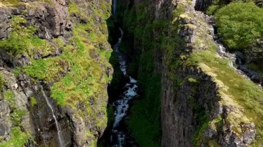 İzlanda 'daki dramatik bir kanyonun inanılmaz hava manzarası. Dik uçurumlar, canlı yeşillikler ve aşağıda kıvrımlı bir nehirle süslenmiş. Glymur şelale kanyonu İzlanda