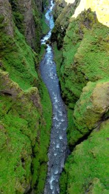 Bereketli yeşilliğin berrak suyla buluştuğu İzlanda 'daki manzaralı bir kanyonun nefes kesici güzelliğini deneyimleyin. Sarmal nehir sarp kayalıklardan, İzlanda 'daki Glymur şelale kanyonundan geçiyor.
