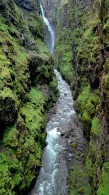 Parlak yosunlarla bezenmiş engebeli uçurumların arasından akan bir nehrin olduğu İzlanda kanyonunu keşfedin. Huzurlu şelale, İzlanda 'daki doğal güzelliği, Glymur şelale kanyonunu güçlendirir.