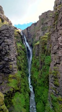 Batı İzlanda 'daki Hvalfjordur fiyordunda yer alan Glymur Şelalesi' ndeki güzel yosunlu yeşil kayalıklar. Dar bir geçide akan gizli bir şelalenin nefes kesici güzelliğini hisset.