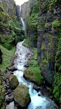 Glymur şelalesi kanyonu İzlanda 'da, parlak yeşilliklerle bezenmiş yüksek uçurumların arasında yumuşak bir nehir akıyor. Yakınlarda heybetli bir şelale dalgalanır ve sakin bir atmosfer yaratır..