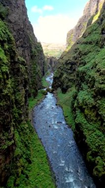 İzlanda 'da nefes kesen bir kanyon keşfetmek, verimli yeşilliklerin engebeli uçurumları kapladığı ve manzaranın kalbinde huzurlu bir nehrin aktığı. İzlanda 'daki Glymur şelalesi kanyonu