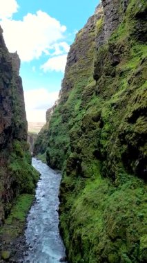 İzlanda 'da nefes kesen bir kanyon keşfedin, orada yükselen yeşil uçurumlar, canlı mavi bir gökyüzünün altında yavaşça akan bir nehir oluşturur. Glymur şelale kanyonu İzlanda