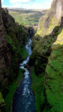 Bereketli bitkilerin çağlayan sularla buluştuğu İzlanda kanyonlarının nefes kesici güzelliğini keşfedin. İzlanda 'daki Glymur şelalesi kanyonu