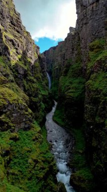 İzlanda 'nın göz kamaştırıcı manzaralarına doğru ilerleyin. Dar bir kanyon canlı yeşil bitki örtüsüyle kaplıdır. Dolaşan bir dereyi. İzlanda 'daki Glymur şelalesi kanyonu