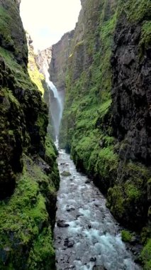Görkemli kayalıklar İzlanda 'nın gizli bir kanyonunda, yemyeşil yosun ve çağlayan suyun yer aldığı kristal berraklığında bir nehri kucaklıyor. Glymur şelale kanyonu İzlanda