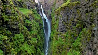 İzlanda 'nın el değmemiş doğasında, sarp yosun kaplı uçurumlara düşen nefes kesici bir şelalenin nefes kesici manzarasını deneyimleyin. Canlı yeşillik ve güçlü akış dingin bir atmosfer yaratır..