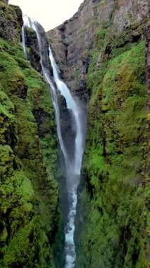 Güçlü su, İzlanda kanyonundaki canlı yosun ve bitki örtüsüyle çevrili kayalık uçurumlardan aşağı süzülür. İzlanda 'daki Glymur şelalesi kanyonu