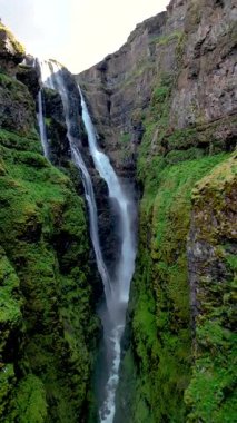 İzlanda 'nın gizli kanyonunun nefes kesen güzelliğini keşfedin. Güçlü bir şelale, yemyeşil kayalıklardan aşağı yuvarlanıyor. İzlanda 'daki Glymur şelalesi kanyonu,