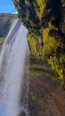 İzlanda 'da nefes kesen Selvallafoss şelalesinin yanındaki kayalıkları süsleyen canlı yosunları keşfedin. Bu büyüleyici mekan doğanın özünü yansıtıyor güzellik ve sükunet.
