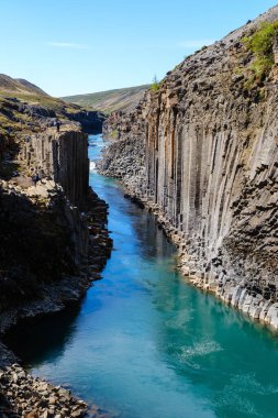 Studlagil Kanyonu yükselen bazalt kolonları ve parıldayan turkuaz sularıyla büyülenir. Etrafı İzlanda 'nın bereketli manzaralarıyla çevrili.