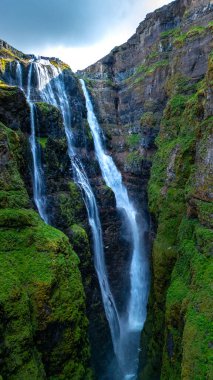Kristal berrak su, canlı yeşil yosun ve kayalık araziyle çevrili sarp kayalıklardan zarifçe yuvarlanır. Glymur Şelalesi İzlanda