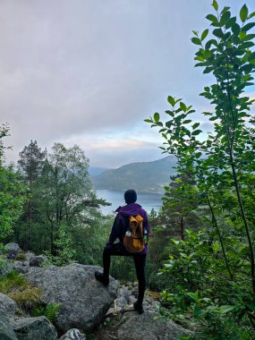 A lone hiker stands atop a boulder, gazing at the stunning fjord below. Surrounded by vibrant foliage and majestic mountains, this moment captures the essence of adventure in Preikestolen hike Norway