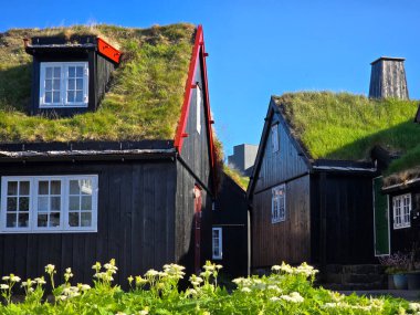 Faroe Adaları 'nda iki pitoresk çim çatılı ev yan yana duruyor. Bereketli yeşil çimenler çatılarından yükselirken parlak çiçekler güneşli bir günde ön planda çiçek açarlar..