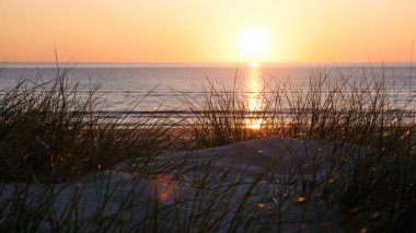 Altın gün batımı, Danimarka 'nın sakin kıyı şeridinde ılık bir parıltı yayar. Dalgalar yavaşça kıyıya vururken rüzgarda sallanan çimlerin altını çizer. Vejers Strand Sahili Danimarka