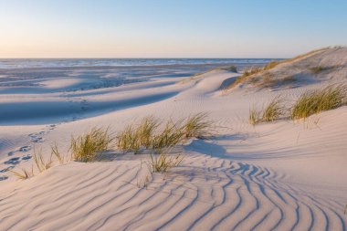 Altın ışık Danimarka 'nın Vejers Strand kentinin yumuşak kumullarına sıcak bir ışık saçar. Narin otlar rüzgarda hafifçe sallanıyor dalgaların ritmik sesi sakin atmosferi doldururken.