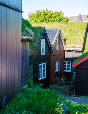 Canlı geleneksel evler Torshavn Faroe Adaları 'nda büyüleyici mimari ve yemyeşil sera içeren tuhaf bir yamaçta..
