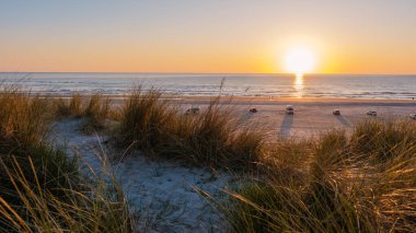 Altın renkler, güneş ufukta batarken Danimarka 'nın sakin plajını aydınlatıyor. Kum tepecikleri tarafından çerçevelenmiş yumuşak dalgalar kıyıya çarpar. Doğa aşıkları ve barışçıl inzivalar için ideal..