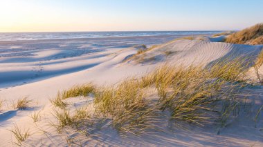 Blokhus Strand sahilinin sakinliğini gün batımında keşfedin, verimli otlarla bezenmiş yumuşak kum tepecikleriyle birlikte. Yumuşak dalgalar sakince kıyıya vurur