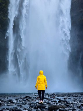 Kükreyen suların ortasında, parlak sarı yağmurluklu bir gezgin Skogafoss şelalesinin dibinde duruyor. Manevi sis manzarayı kaplıyor ve canlı bir atmosfer yaratıyor..