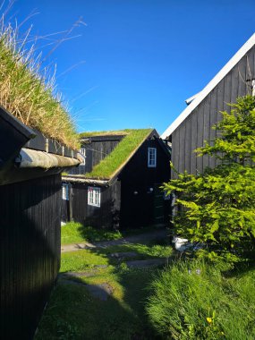Bereketli yeşillikler arasında, Faroe Adaları 'ndaki bu geleneksel siyah ahşap evler ikonik çimen çatıları içerir..