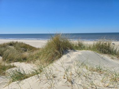 Yumuşak altın kumlar ve kayan kumullar Danimarka 'da sakin bir sahil manzarası yaratır. Bu sakin sahne doğanın güzelliğini gözler önüne seriyor, deniz kıyısındaki rahatlama ve keşifleri davet ediyor..