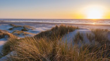 Altın güneş ışığı Danimarka 'daki sakin kumsalda, yemyeşil otlarla kaplı yumuşak kumulları aydınlatıyor. Yumuşak dalgalar kıyıya vurur, Vejers Strand 'da akşam yürüyüşleri için huzurlu bir atmosfer yaratır.