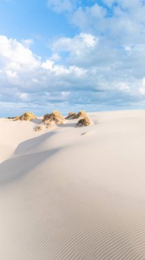 Geniş kum tepeleri güzel mavi bir gökyüzünün altında Rabjerg Mile Danimarka 'nın huzurlu manzarasını vurguluyor. Bu sahne doğanın sanatını yakalar, rahatlama ve keşif için idealdir..