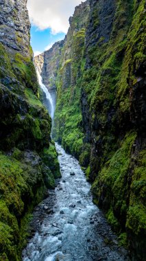 Glymur Şelalesi 'nin nefes kesici manzarası yosun kaplı tepeler ve canlı doğayla çevrili yeşil bir vadiye çarpıcı bir şekilde düşüyor..