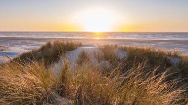 Danimarka 'nın Vejers Strand kentinin sakin kumlu plajına altın güneş ışığı yayılıyor ve kumulların tepesindeki canlı çimenleri aydınlatıyor. Uçsuz bucaksız deniz, alacakaranlığın ılık tonlarını yansıtır.