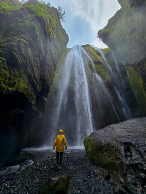 İzlanda 'da yemyeşil ve dramatik uçurumlarla çevrili görkemli bir şelalenin önünde huşu içinde duran bir yürüyüşçü. Gljufrabui şelalesi İzlanda