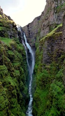 İzlanda 'nın uzak bir kanyonundaki canlı yeşilliklerle çevrili kayalık uçurumlardan akan görkemli şelaleye tanık olun. İzlanda 'daki Glymur şelalesi kanyonu