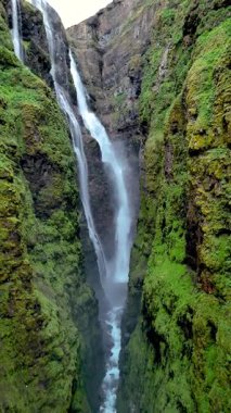 Glymur Şelalesi, İzlanda 'da sarp yeşil yosunlarla çevrili sarp kayalıklardan akan çarpıcı bir şelalenin güzelliğini hissedin.