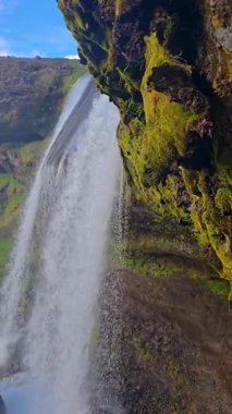 İzlanda 'da parlak gökyüzünün altında canlı yosunlar ve kayalık oluşumlarla çevrili muhteşem İzlanda Selvallafoss şelalesinde çağlayan suyun büyüleyici hızını deneyimleyin.