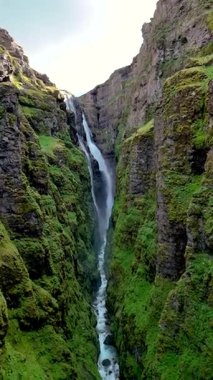 Göz kamaştırıcı bir şelale, açık mavi gökyüzünün altındaki canlı yosun kaplı uçurumlarla çevrili İzlanda 'daki yemyeşil bir kanyona dalıyor. İzlanda 'daki Glymur şelalesi kanyonu